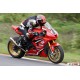 2021-2023 HONDA CBR1000RR SP Race Megaphone Stainless Full System